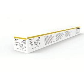 Steel (Aço)